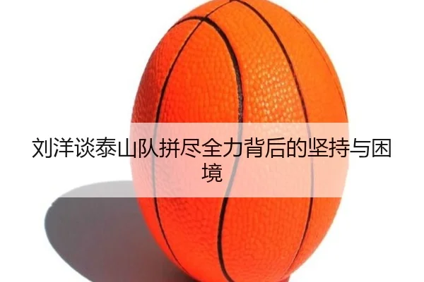 img_1787346463081_2312_0_803.jpg